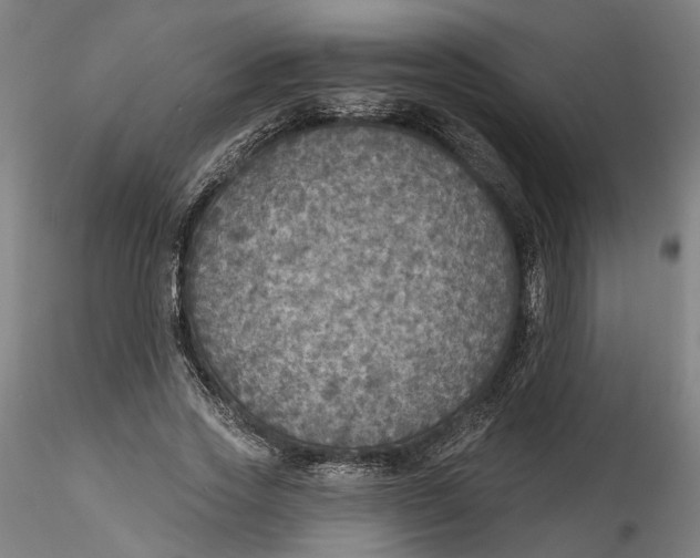 X0000115550733200911271433