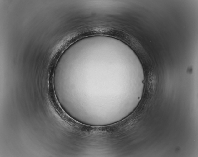 X0000115550734200911271433