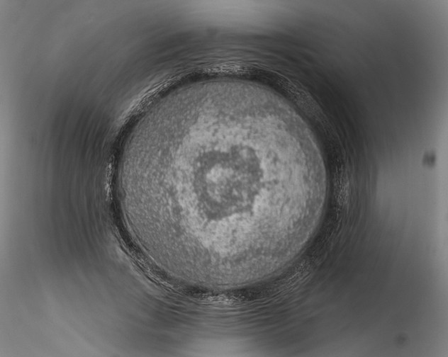 X0000115550735200911271433