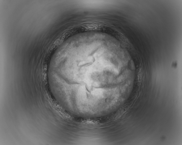 X0000115550737200911271433