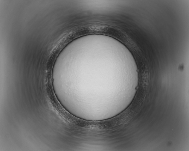 X0000115550738200911271433