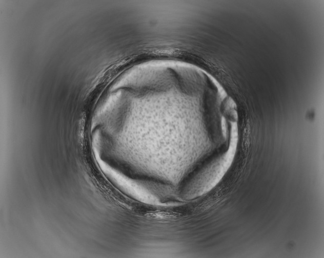 X0000115550739200911271433