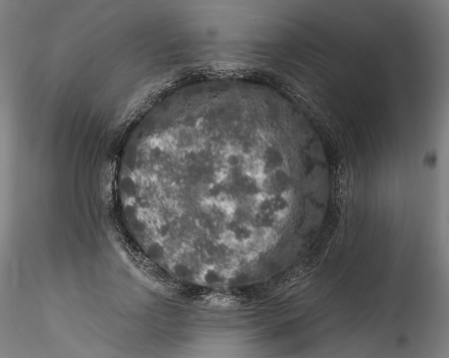 X0000115550742200911271433