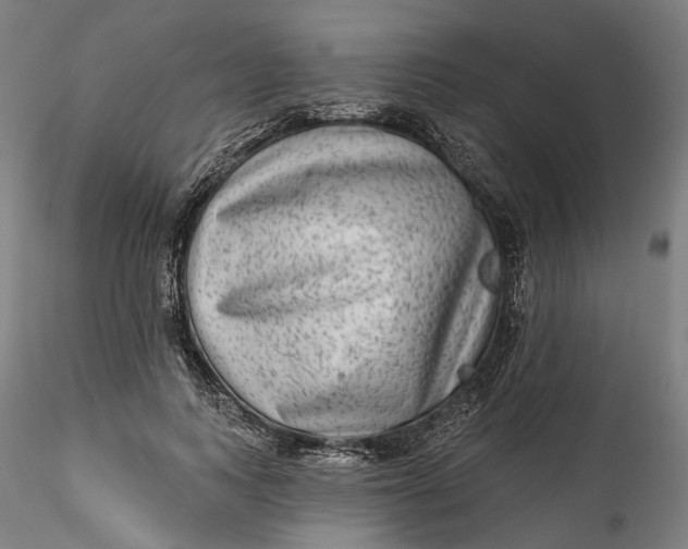 X0000115550743200911271433