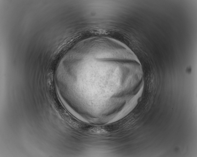 X0000115550747200911271433