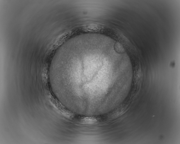 X0000115550749200911271433