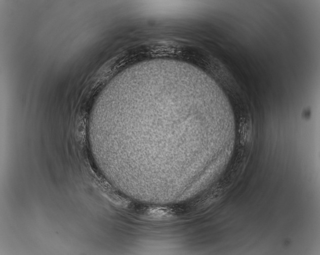 X0000115550753200911271433