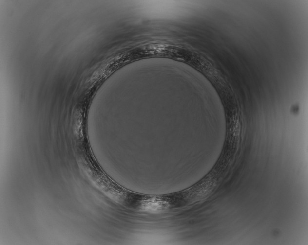 X0000115550754200911271433