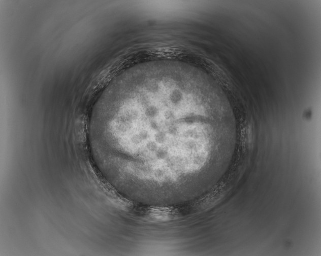 X0000115550757200911271433