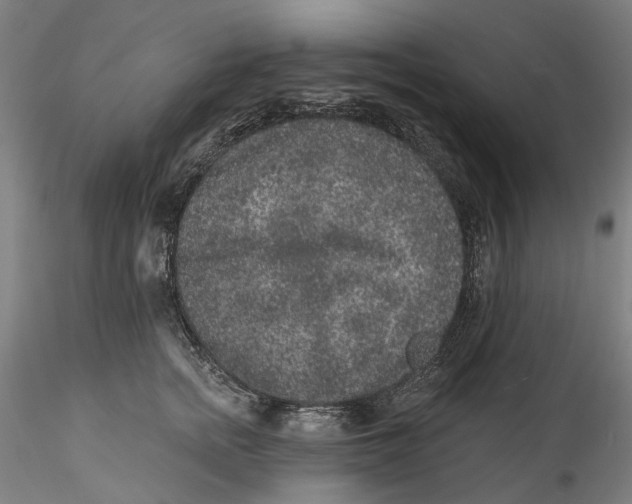 X0000115550758200911271433