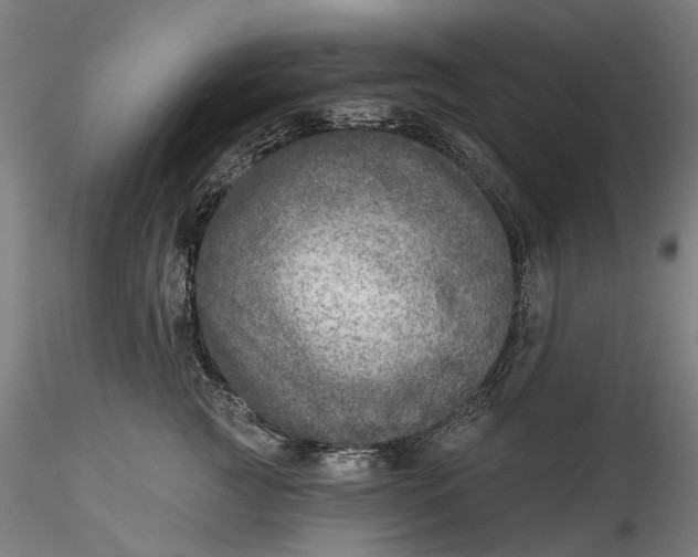 X0000115550761200911271433