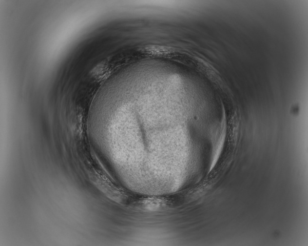 X0000115550762200911271433