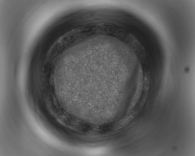 X0000115550765200911271433