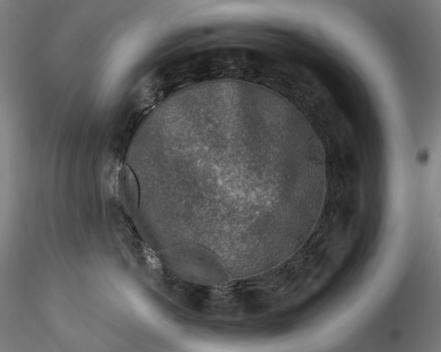 X0000115550766200911271433