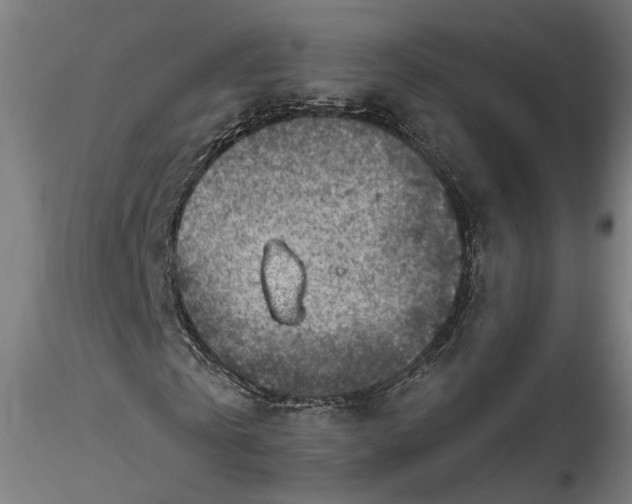 X0000115550769200911271433