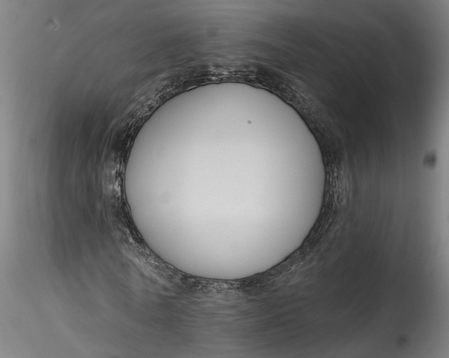 X0000115550770200911271433