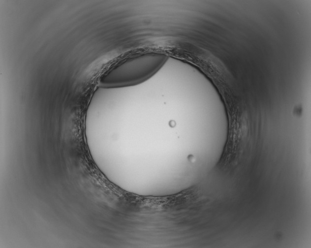 X0000115550773200911271433