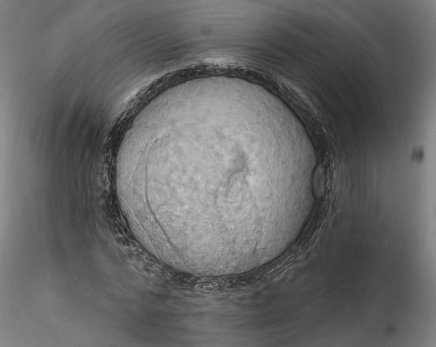 X0000115550776200911271432