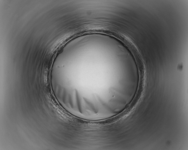 X0000115550777200911271432