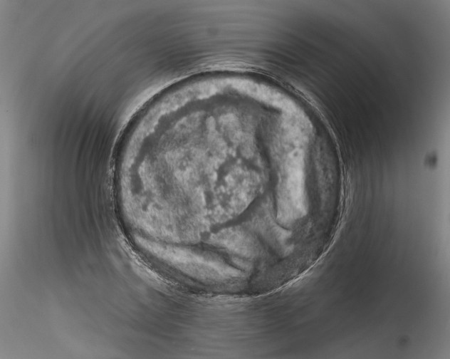 X0000115550779200911271432