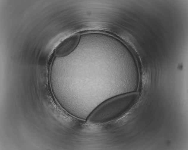 X0000115550781200911271432