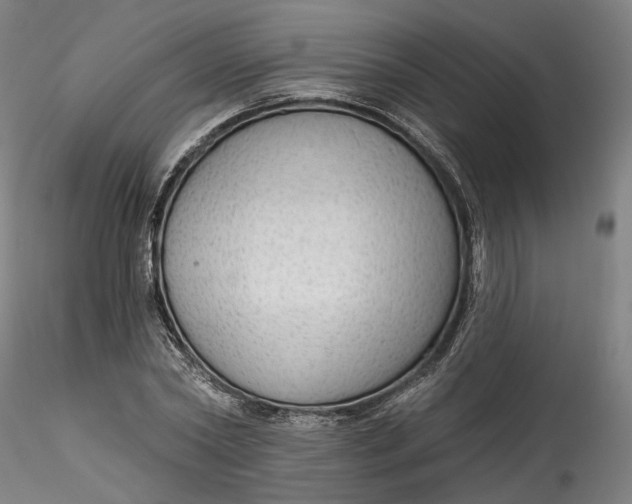 X0000115550782200911271432