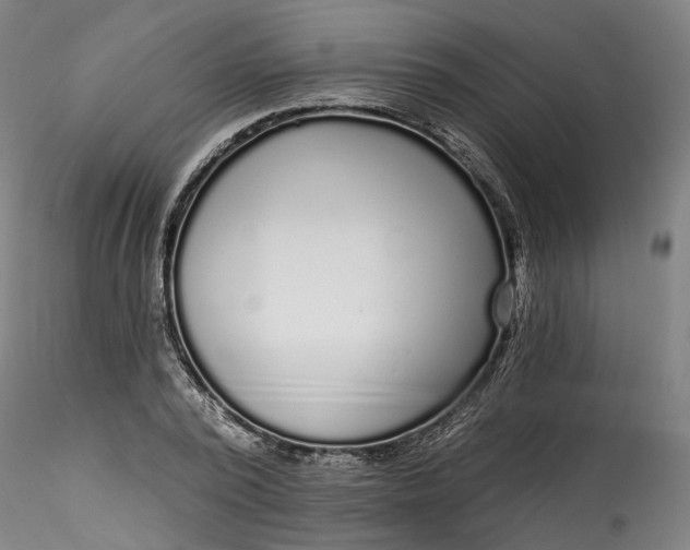 X0000115550784200911271432