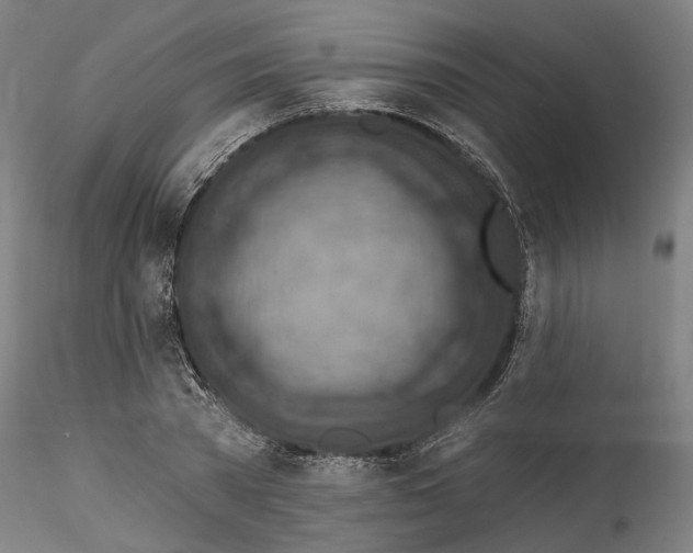 X0000115550785200911271432