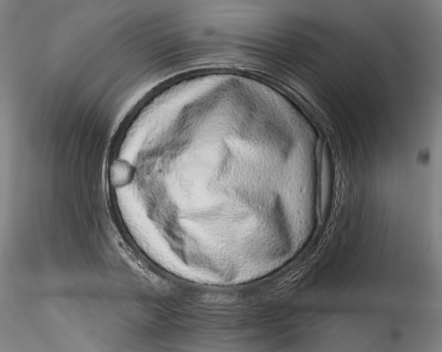 X0000115550788200911271432