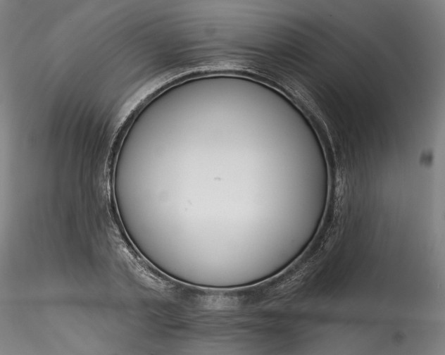 X0000115550789200911271432