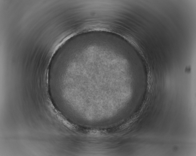 X0000115550790200911271432