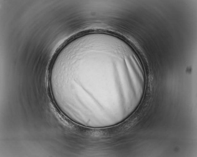 X0000115550791200911271432