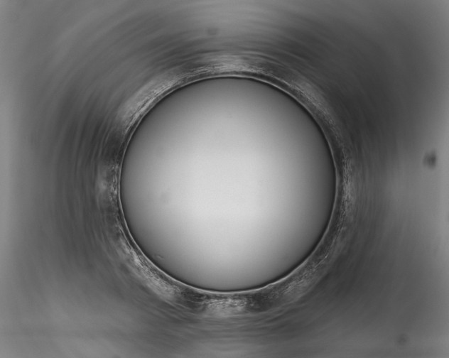 X0000115550793200911271432