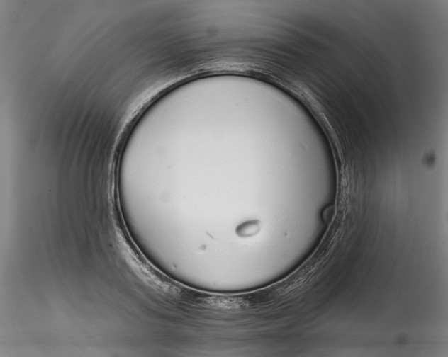 X0000115550795200911271432