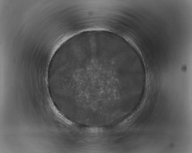 X0000115550797200911271432