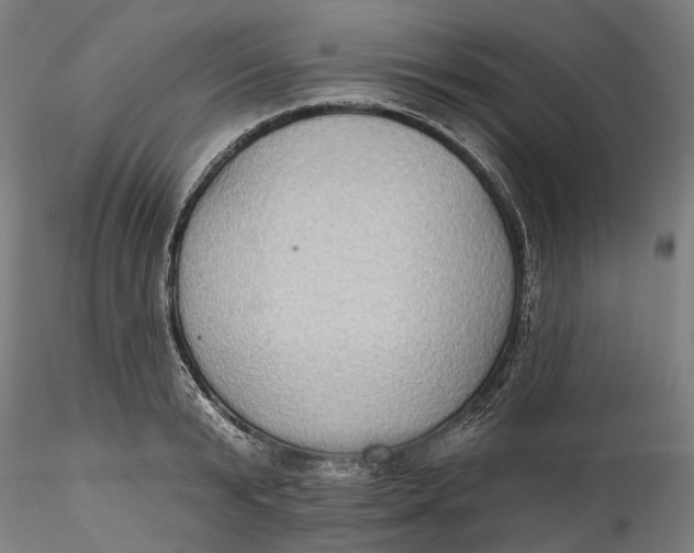 X0000115550799200911271432