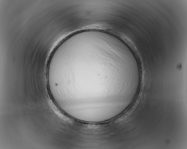 X0000115550800200911271432