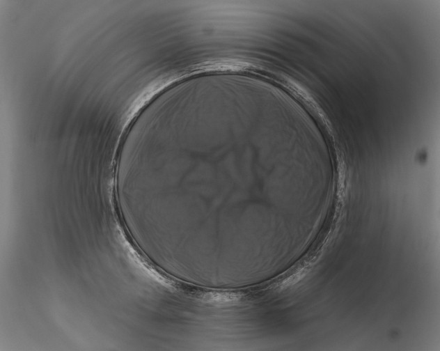 X0000115550802200911271432