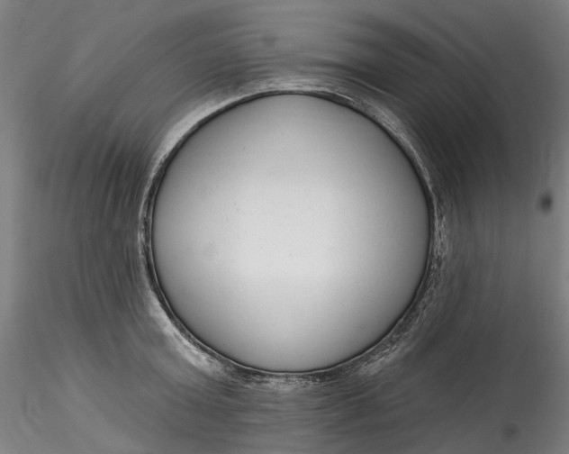 X0000115550803200911271432