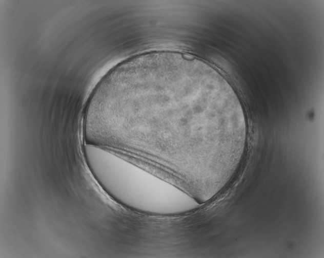 X0000115550804200911271432