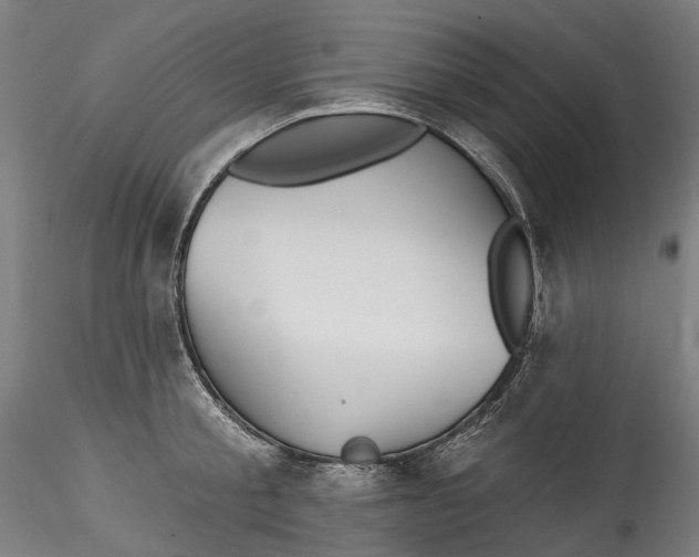 X0000115550805200911271432