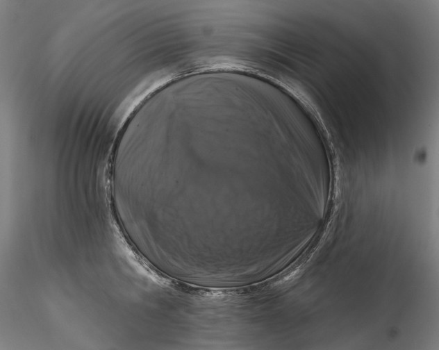 X0000115550806200911271432