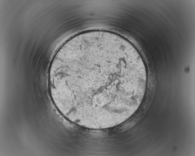 X0000115550807200911271432