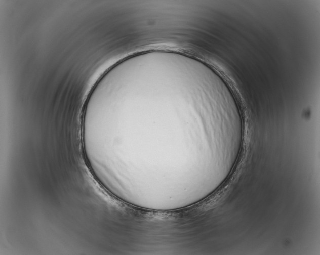 X0000115550808200911271432