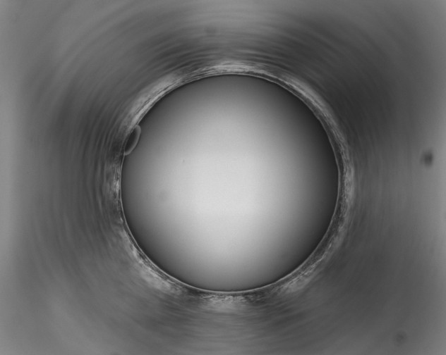 X0000115550809200911271432