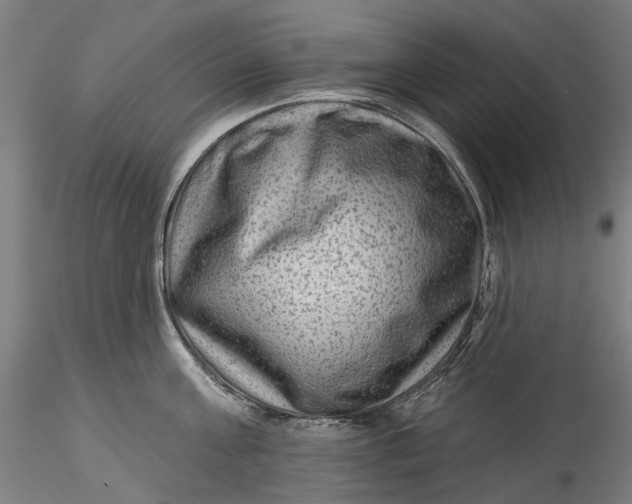 X0000115550811200911271432