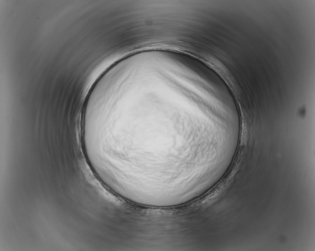 X0000115550812200911271432