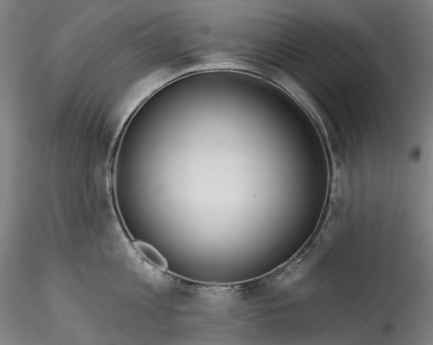 X0000115550813200911271432