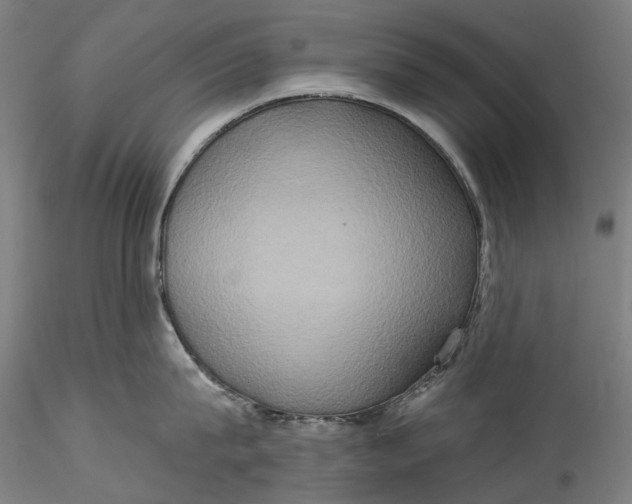 X0000115550815200911271432