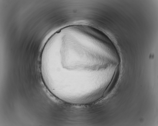 X0000115550816200911271432